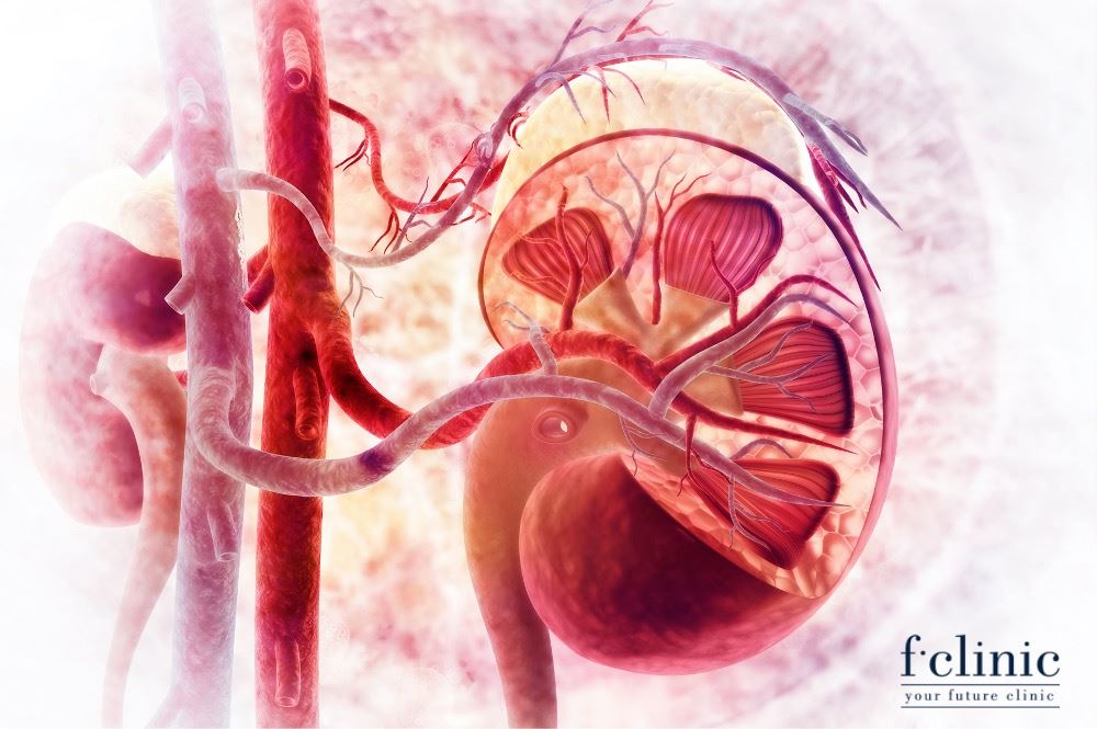 Điều trị bệnh thận bằng tế bào gốc