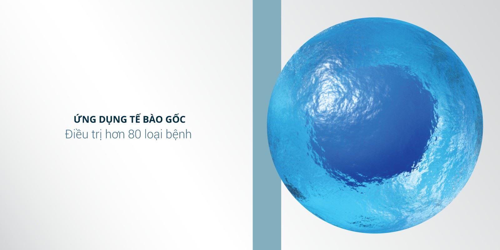 lưu trữ tế bào gốc
